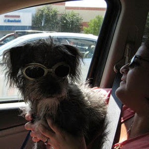 Meet your Posher, Lisa